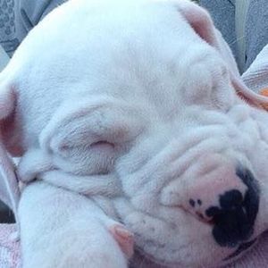 Meet your Posher, Nathan